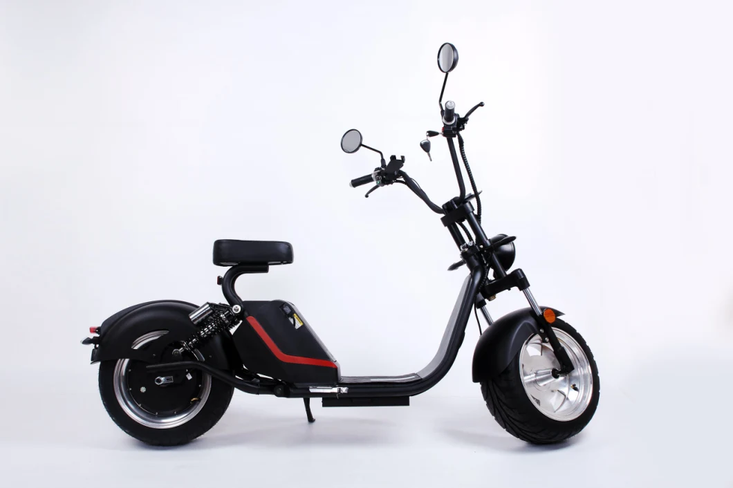 Super Power Removable Lithium Battery EEC Approval European Export Pony Model