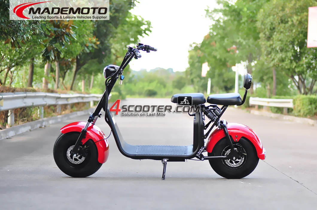 1500W 2000W 3000W Long Range 60 Volt Two Wheels Trotinette Electric Scooter