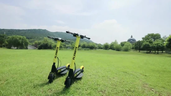 속도 29km, 고품질 스타일리시한 노란색 검정색 접이식 전기 스쿠터